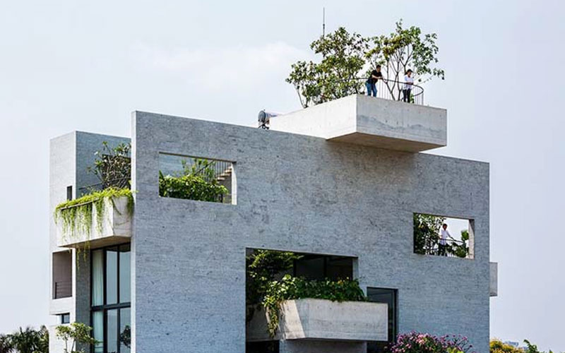 Mẫu nhà đẹp bê tông với những khu vườn đứng